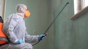 Mold Remediation for Vacation Homes in Brandermill, VA